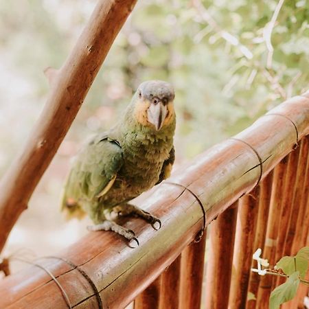 Fazenda Hotel Bem Ecologico Planaltina  外观 照片